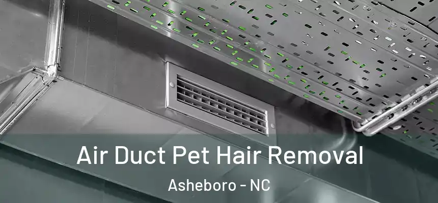  Air Duct Pet Hair Removal Asheboro - NC