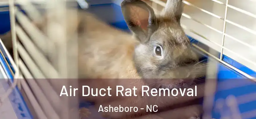  Air Duct Rat Removal Asheboro - NC