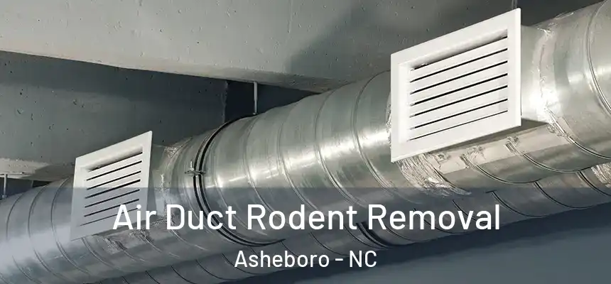  Air Duct Rodent Removal Asheboro - NC