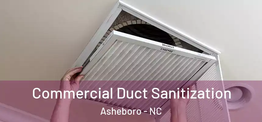  Commercial Duct Sanitization Asheboro - NC