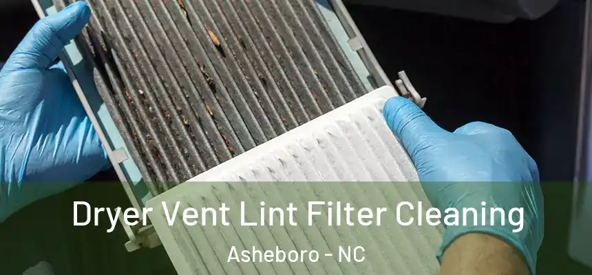  Dryer Vent Lint Filter Cleaning Asheboro - NC