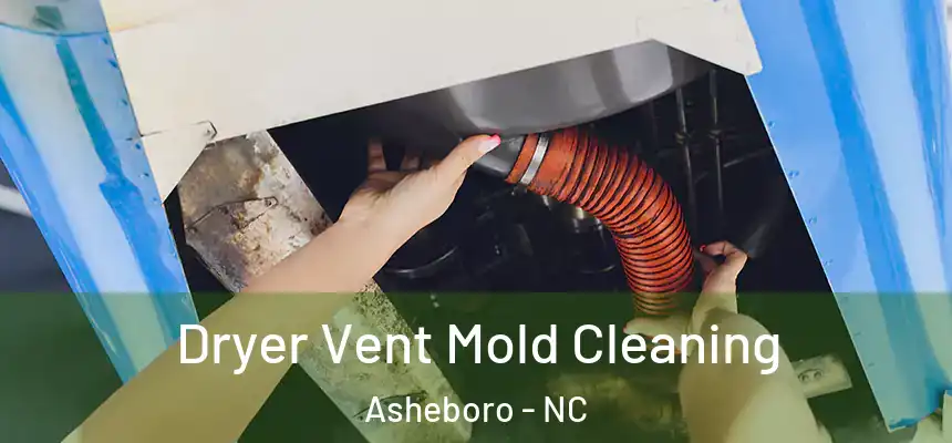  Dryer Vent Mold Cleaning Asheboro - NC