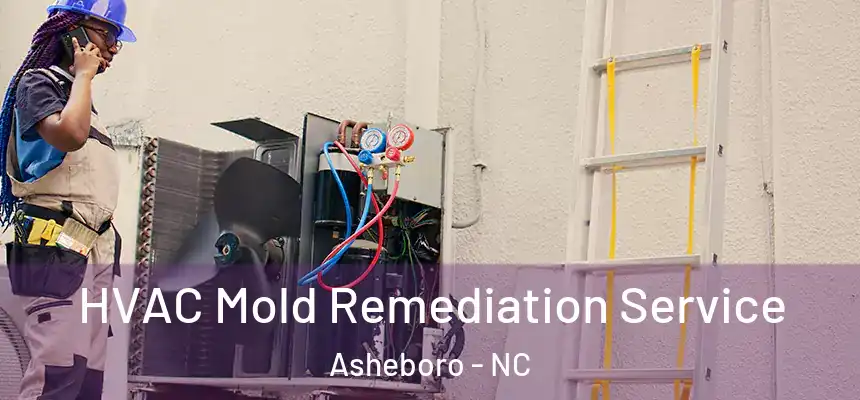  HVAC Mold Remediation Service Asheboro - NC