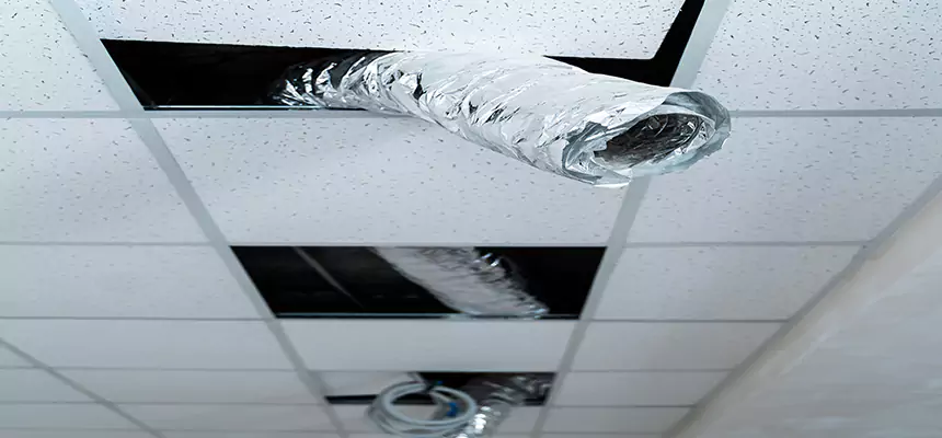 Our Air Duct Pet Hair Removal Services in Asheboro, NC