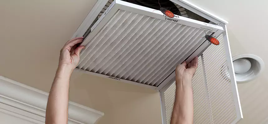 Our Insect Removal from Air Ducts Services in Asheboro, NC