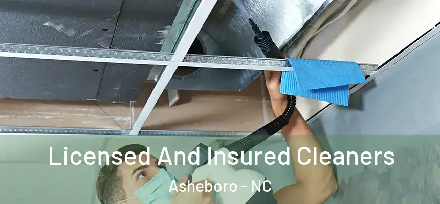  Licensed And Insured Cleaners Asheboro - NC