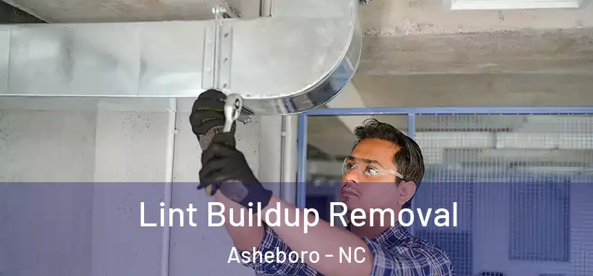  Lint Buildup Removal Asheboro - NC