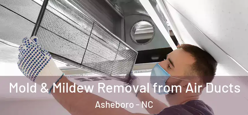  Mold & Mildew Removal from Air Ducts Asheboro - NC