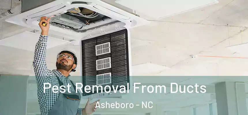  Pest Removal From Ducts Asheboro - NC