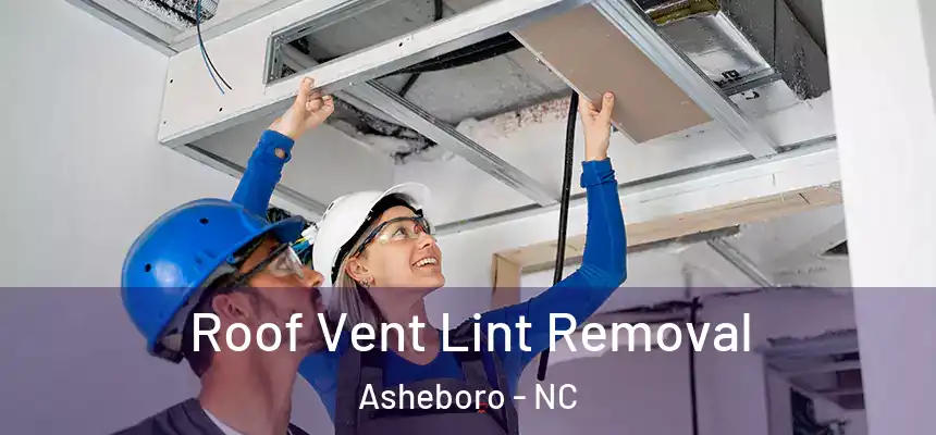  Roof Vent Lint Removal Asheboro - NC