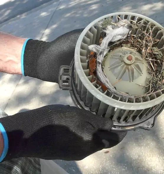 About Air Duct Rat Removal in Asheboro, NC