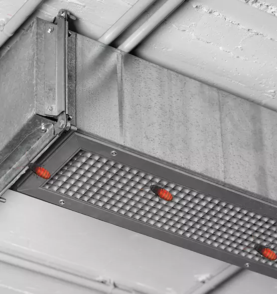 Affordable Insect Removal from Air Ducts in Asheboro, NC